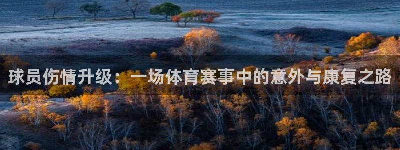  球员伤情升级：一场体育赛事中的意外与康复之路