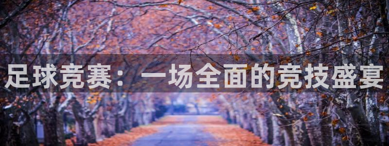 足球竞赛：一场全面的竞技盛宴