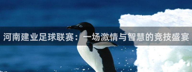  河南建业足球联赛：一场激情与智慧的竞技盛宴
