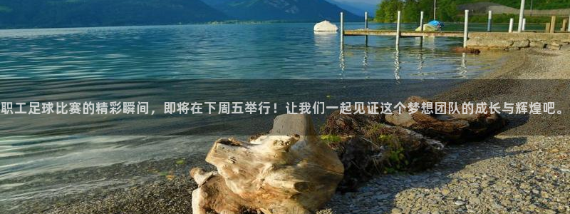 职工足球比赛的精彩瞬间，即将在下周五举行！让我们一起见证这个