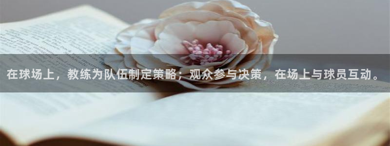 在球场上，教练为队伍制定策略；观众参与决策，在场上与球员互动