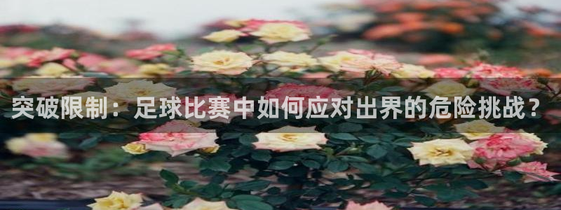  突破限制：足球比赛中如何应对出界的危险挑战？