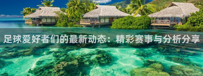  足球爱好者们的最新动态：精彩赛事与分析分享