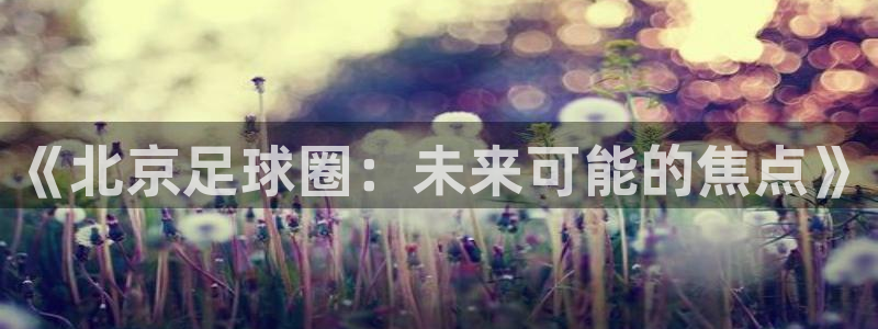  《北京足球圈：未来可能的焦点》