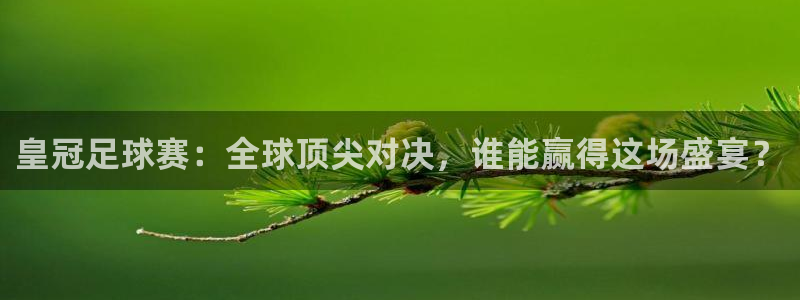 皇冠足球赛：全球顶尖对决，谁能赢得这场盛宴？