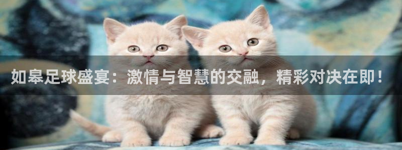 如皋足球盛宴：激情与智慧的交融，精彩对决在即！