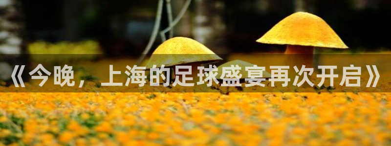  《今晚，上海的足球盛宴再次开启》