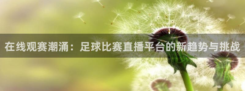  在线观赛潮涌：足球比赛直播平台的新趋势与挑战