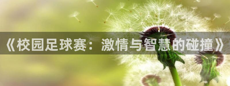  《校园足球赛：激情与智慧的碰撞》