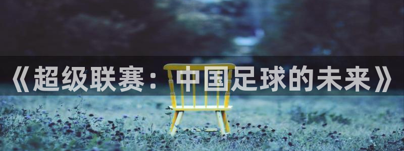  《超级联赛：中国足球的未来》