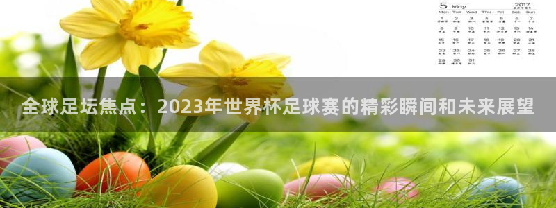  全球足坛焦点：2023年世界杯足球赛的精彩瞬间和未来展望