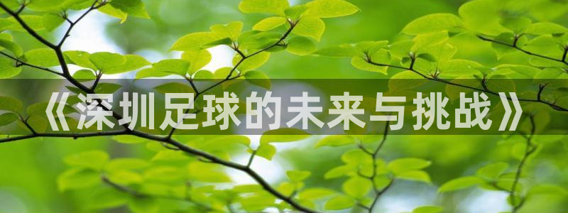 《深圳足球的未来与挑战》