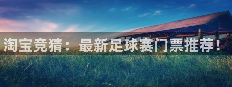  淘宝竞猜：最新足球赛门票推荐！