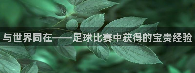 与世界同在——足球比赛中获得的宝贵经