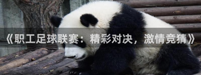 《职工足球联赛：精彩对决，激情竞猜》