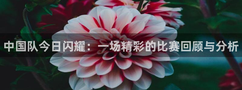 中国队今日闪耀：一场精彩的比赛回顾与