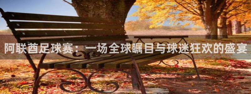 阿联酋足球赛：一场全球瞩目与球迷狂欢