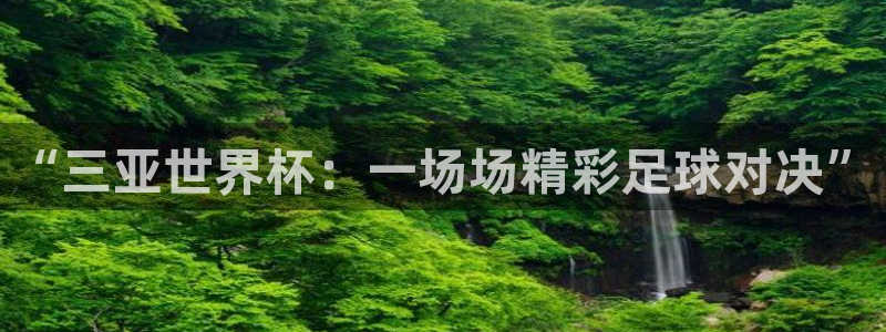 “三亚世界杯：一场场精彩足球对决”