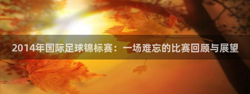 2014年国际足球锦标赛：一场难忘的