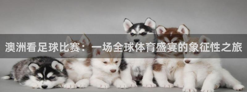 澳洲看足球比赛：一场全球体育盛宴的象