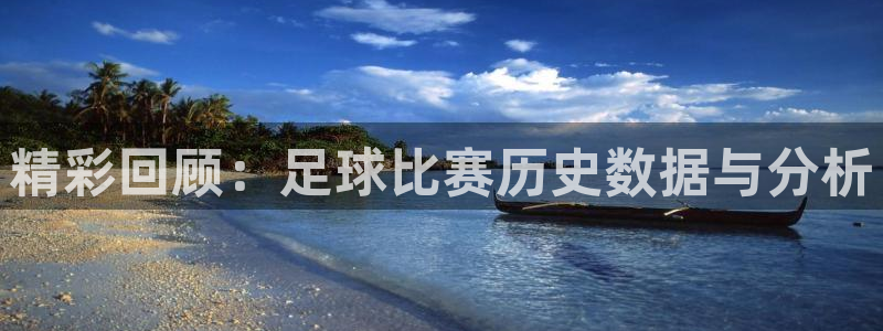 精彩回顾：足球比赛历史数据与分析