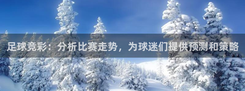 足球竞彩：分析比赛走势，为球迷们提供