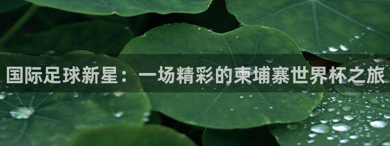 国际足球新星：一场精彩的柬埔寨世界杯