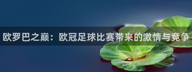 欧罗巴之巅：欧冠足球比赛带来的激情与