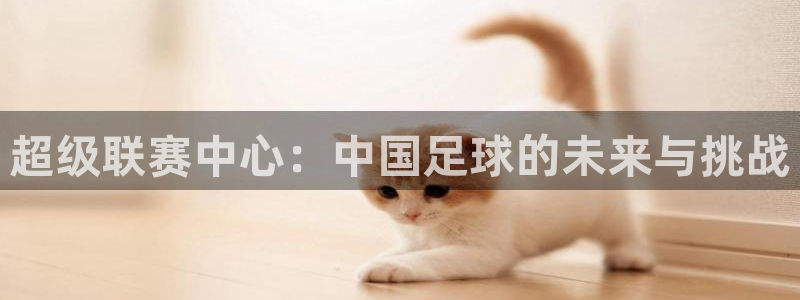  超级联赛中心：中国足球的未来与挑战